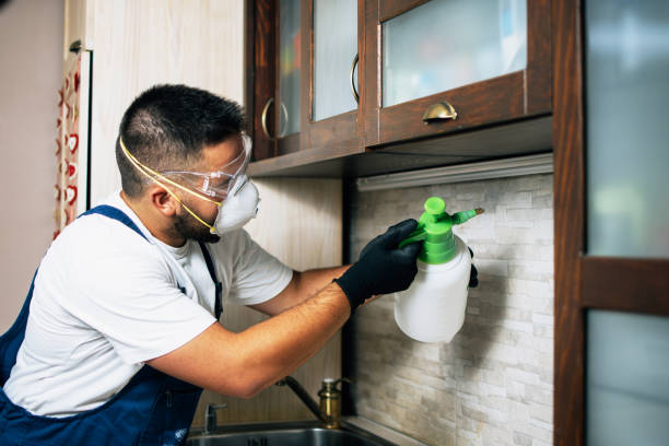 Best Rat Extermination Near Me  in Soulsbyville, CA