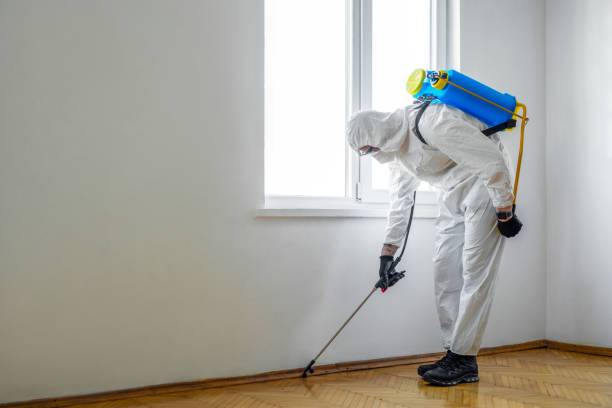 Flea Control Services in Soulsbyville, CA