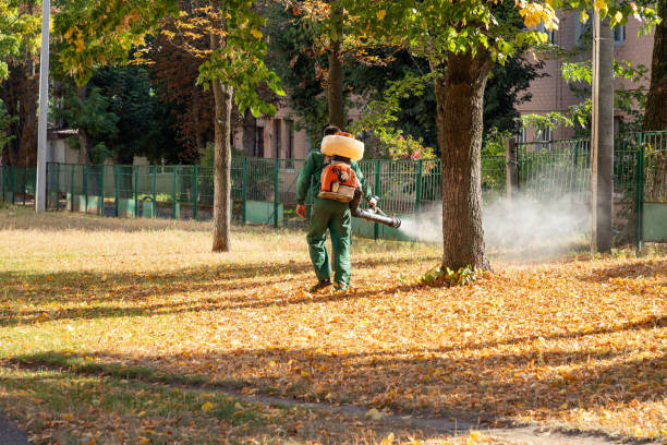 Best Pest Control Near Me  in Soulsbyville, CA
