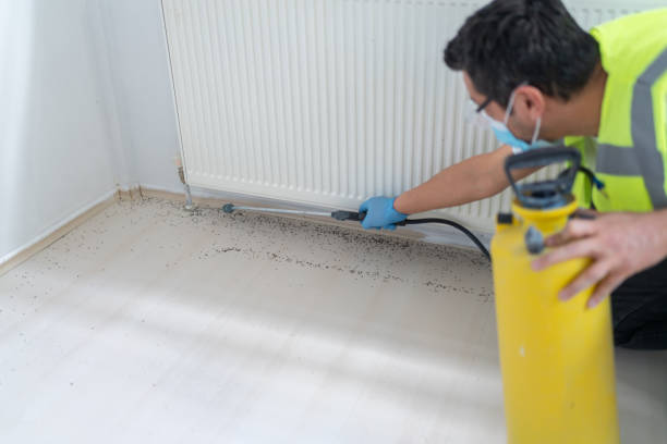 Best Local Pest Control Services  in Soulsbyville, CA
